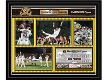 阪神タイガースのリーグ優勝を記念したフォトフレームが登場！シリアルナンバー入り