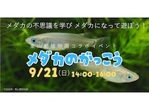 【愛知県名古屋市】環境学習と運動遊びを組み合わせた体験型プログラム「メダカのがっこう」開催！