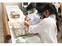 【茨城県つくば市】「国立環境研究所一般公開2025」開催！体験型で学べる約40のイベントを用意