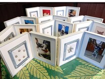 大切なペットが世界に1つの真珠に。約1年間の供養プログラム「真珠葬」受付開始