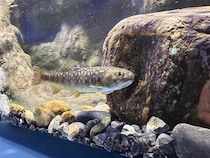 【広島県広島市】閉館からの再始動「シン・マリホ水族館」がアルパーク東棟にOPEN