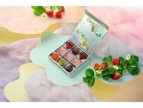 ピエール・ルドンのバレンタイン限定ショコラが登場！特別なアソートメントを堪能