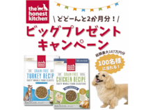 ヒューマングレードと認定されたドッグフード「オネストキッチン クランチ」がプレゼントキャンペーンを実施中