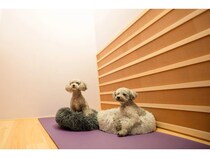 【東京都目黒区】ラドンルームでリフレッシュできる「kuku-lu(括る)恵比寿店」OPEN！愛犬同伴もOK