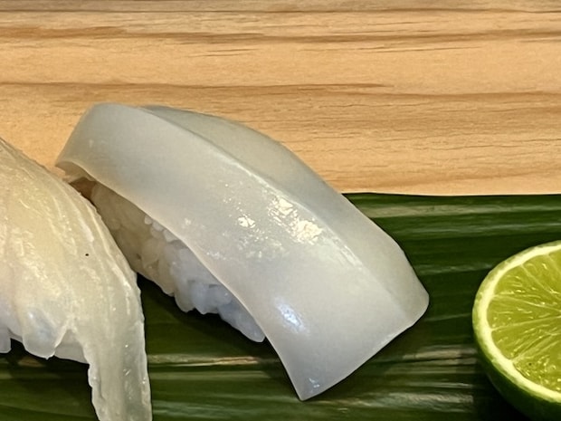 ⓭モンゴウイカ