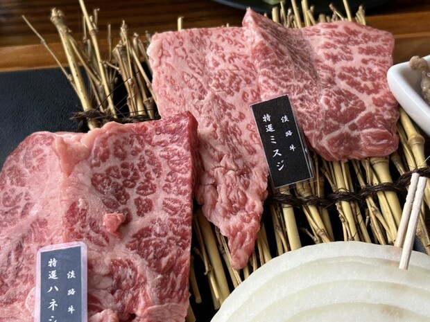 夢照らす1-5
