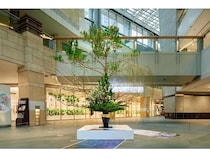 【東京都港区】華道家元池坊麻布橘会支所がお正月装飾「はざま、生」を六本木ヒルズに展示中