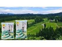 棚田の保全活動を応援する「つなぐ棚田米」、新潟県十日町市ふるさと納税返礼品に登場！