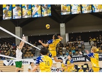 北海道イエロースターズが25年11月のホームゲーム全勝！1月は函館市でも試合を開催