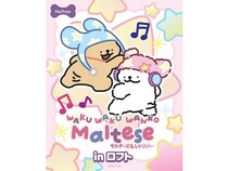 アジア各国で支持を集めるキャラ「モルチーズ」が、ロフトでポップアップストアを開催