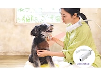 両手が使えて安心ドライ！3WAYスタイルの犬猫用ドライヤー「HUG AIR」先行発売中