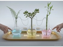 【神奈川県横浜市】インクルーシブな体験型アートウィーク「INVISIBLE MUSEUM」開催！