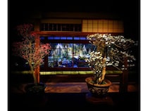 【滋賀県長浜市】梅の盆栽展「第75回長浜盆梅展」開催！カフェ＆バーや夜間ライトアップ、各種体験も