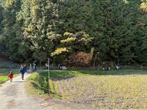 【奈良県桜井市・三重県津市】ギフテッド・高感受性の子どものための「デジタルデトックスキャンプ」開催！