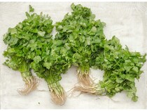 【東京都港区】バインミー専門店「TOKYO BANH MI STAND」は、毎週金曜日はパクチー増量無料