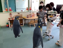 【神奈川県横須賀市】医療機関に「ARどうぶつえん」を常設提供。子ども達に笑顔を届ける取り組み