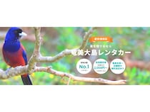 【鹿児島県奄美市】格安料金＆安心補償の「奄美大島レンタカー」登場！空港から店舗への無料送迎も