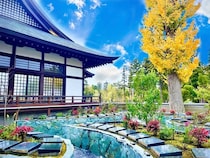 【千葉県流山市】法栄寺の境内に永代供養型樹木葬「彩華」開設。墓域は和モダン庭園スタイル