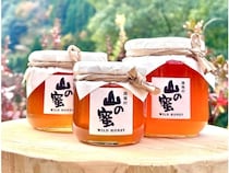 【宮崎県諸塚村】2025年秋に採集したニホンミツバチの百花蜜『山の蜜』販売中！お取り寄せもできる