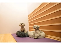 【東京都目黒区】ラドンルームでリフレッシュできる「kuku-lu(括る)恵比寿店」OPEN！愛犬同伴もOK