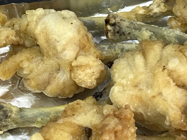 チューリップ1-2-2