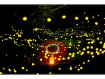 写真展「だれかのふるさとと出会う旅」開催！京都西山の魅力あふれる作品が集結