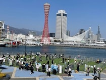 【兵庫県神戸市】愛犬家必見！神戸ハーバーランド高浜岸壁にて第6回「ハーバーワンダーランド」開催