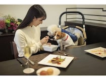 【神奈川県湯河原町】コレドール湯河原Dog＆Resortレストランで、日帰りでも愛犬と楽しめるランチ営業開始