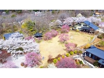 【山梨県北杜市】1日1組限定のプライベートヴィラ「ReTune」がお花見×サウナの予約受付を開始