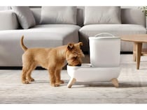 電源・ろ過フィルター不要のペット用スマート自動給水器が、クラファンに登場！