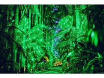 【沖縄県沖縄市】東南植物楽園が優秀SDGs賞1位を受賞したイルミネーション「南国ECOライツ」開催中