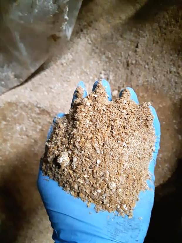 ヴェッキオトラム　平田ロッソ牛