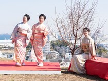 【神奈川県横浜市】幻の梅林で歴史と文化を体感できる「杉田梅まつり」ステージや飲食広場も登場して開催
