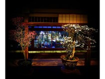 【滋賀県長浜市】梅の盆栽展「第75回長浜盆梅展」開催！カフェ＆バーや夜間ライトアップ、各種体験も