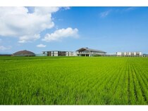 【山形県鶴岡市】米作りを通して庄内の食の循環を体験する田んぼとお米のプロジェクト、参加者募集開始