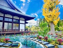 【千葉県流山市】法栄寺の境内に永代供養型樹木葬「彩華」開設。墓域は和モダン庭園スタイル