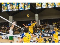 北海道イエロースターズが25年11月のホームゲーム全勝！1月は函館市でも試合を開催