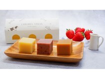 羊羹とキャラメルを融合させたスイーツセットが「こたろう和」より登場！3種のキャラメル羊羹をアソート