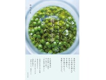 楽はしたいけどちゃんともしたい。50歳を過ぎた中川たまさんのエッセイ＆レシピ集発売