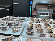 【香川県小豆島町】小豆島でオイスターカーニバル開催。デイブレイクが牡蠣2,500個を特殊冷凍で安全提供