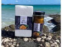 ガンガゼを活用し、長崎・壱岐の海を救うプロジェクト発足！クラファンで支援募集中