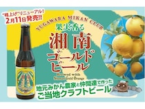 【神奈川県・静岡県】「湘南ゴールドエール」が「果実香る 湘南ゴールドビール」としてリニューアル発売！