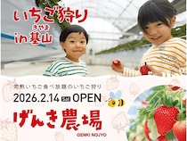 【佐賀県基山町】いちご狩りができる「げんき農場 基山農場」誕生！人気3～5品種が食べ放題＆直売所も