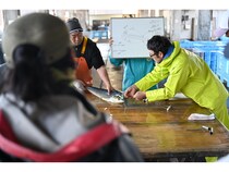 高知県土佐清水市で「神経締めの究極鮮度」による漁村再生×観光振興プロジェクト始動