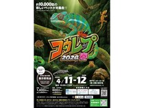 【兵庫県神戸市】爬虫類や両生類、猛禽類も登場する体験型展示即売会「コウレプ2026春」開催！