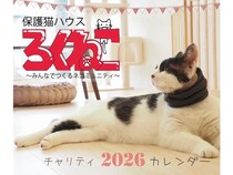 【千葉県松戸市】「保護猫ハウス ろくねこ」開設1周年記念セミナー開催！チャリティーカレンダー販売も