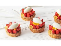 ピエール・エルメ・パリから春の訪れを予感させるパティスリー登場！新作のタルトも