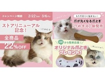 猫を中心に考えるnyansが、創業10年目の猫の日に合わせ3つの「ニャンペーン」を開催