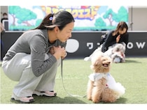 【神奈川県横浜市】愛犬が主人公の冒険！体験ストーリー型ドッグイベント「うちの子クエスト」を開催