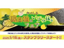 【熊本県八代市】『やつしろ「晩白柚・いずみ抹茶」フェア』開催！特産品などが当たるスタンプラリーも